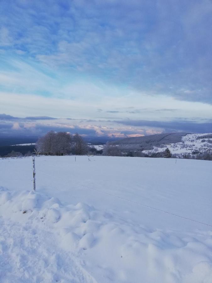 Вилла Domaine De Siane Plaine Экстерьер фото